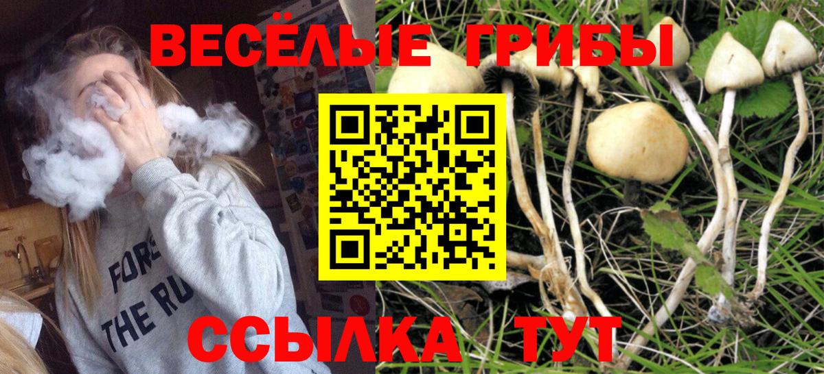 Псилоцибиновые грибы MAGIC MUSHROOMS  Галлюциногенные грибы мицелий  Георгиевск  Вход с VPN 