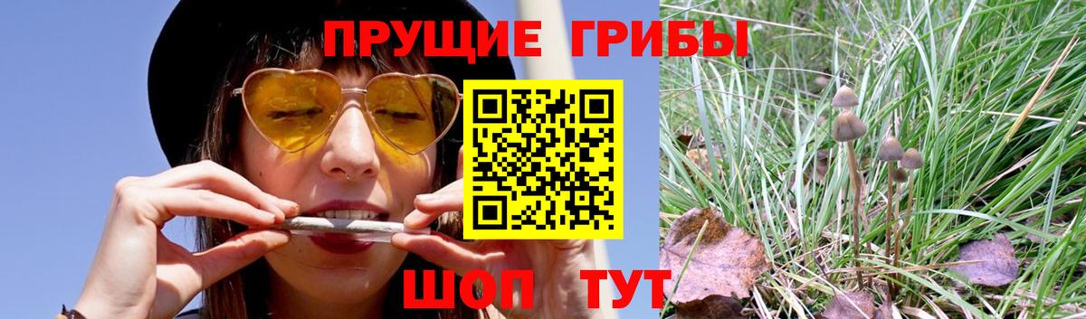 Псилоцибиновые грибы ЛСД Георгиевск